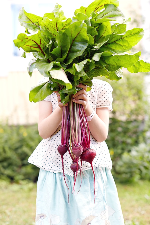 Punajuuret ja tyttö - Copy